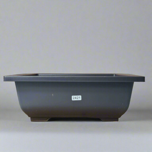 Plastic bonsai training pot - plastic, |