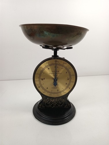 Salter family scale top - family,