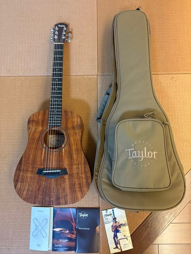 Taylor baby - baby, koa