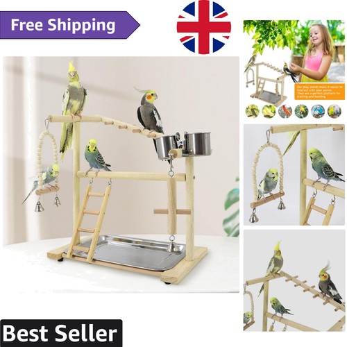 Wooden parrot playground with - parrot,