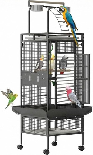 60in large pet - 60in, with