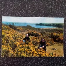 Postcard Cistarcian Monks gathering gorse On Caldey Island Off Tenby Wales 1983