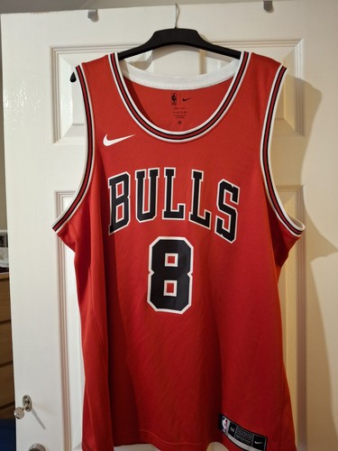 Nike dry fit - bulls, lavine