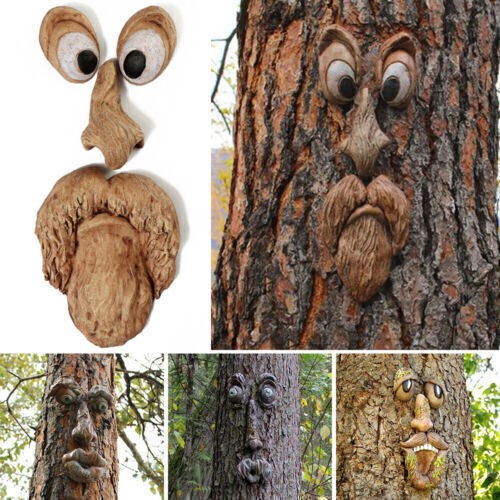 Outdoor tree funny - outdoor, man
