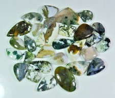 15-35MM NATURAL TREE MOSS