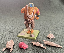 Warhammer Fantasy Orcs &