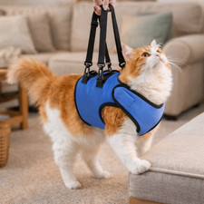 Oxford Fabric Dog Lift Harness