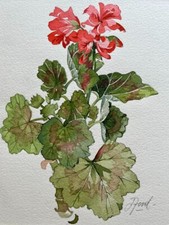 JOHN FORD AUSTRALIAN