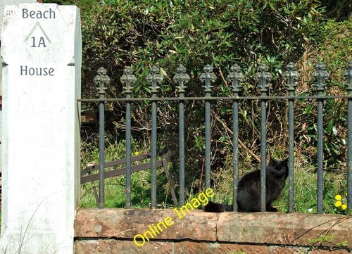 Photo 6x4 black cat beach - 6x4,