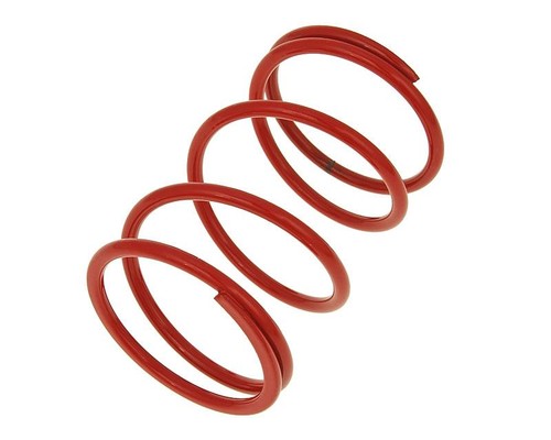 Torque spring malossi mhr - torque,