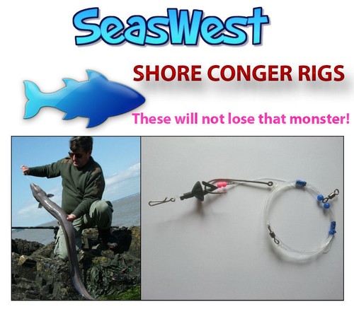 Shore conger fishing - shore,