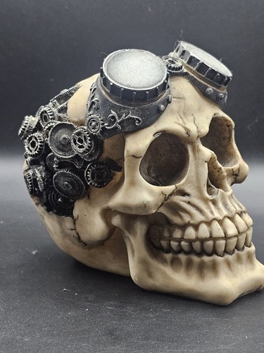Skeleton skull novelty - skeleton,