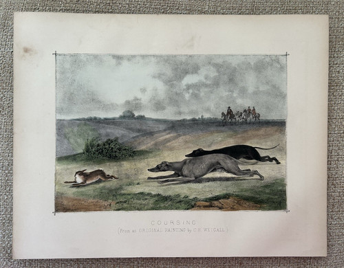 Coursing c1880 antique - coursing, print