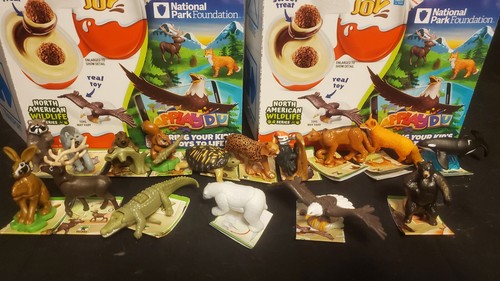 Kinder joy north - joy,