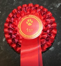 Individual Placing  3 Tier Dog