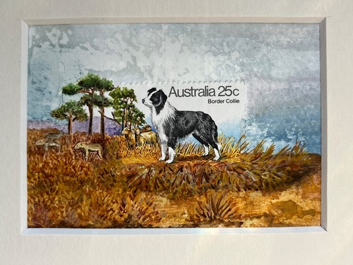 Border collie dog original - border,