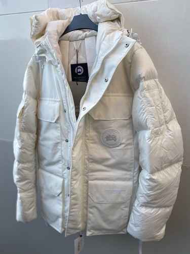 Canada goose white - goose, paradigm
