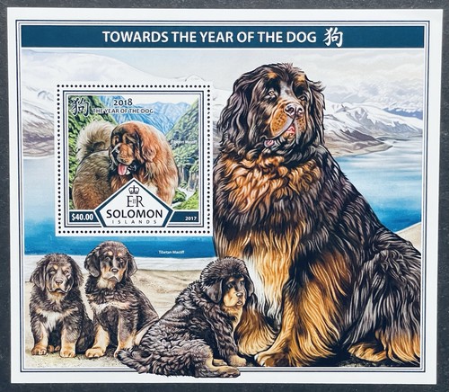 Solomon islands year - solomon, of