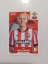 Panini Premier league