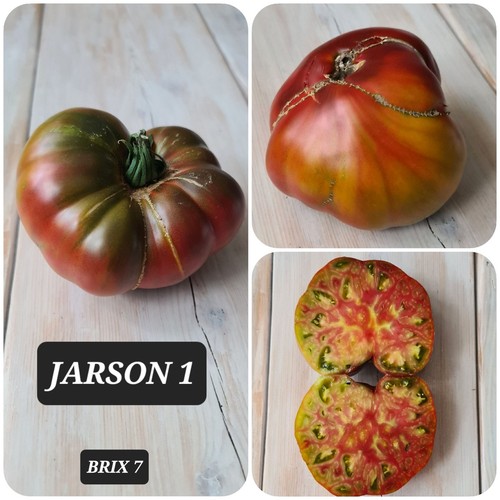 Rare tomato seeds - seeds, jarson