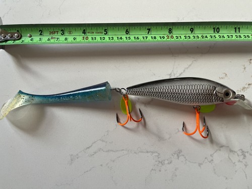 Pike lure rattling roach - rattling,