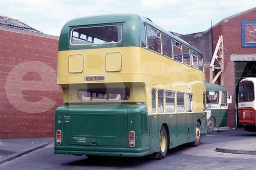 Bus photo lowland - photo,