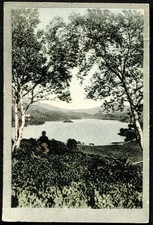 Tobacco Card, Cavanders