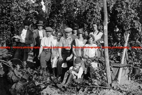 F015668 hop picking - at, collier