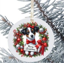 Jack Russell Terrier Dog