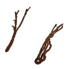 Komodo Reptile Tropical Vine Brown Climbing Lizard Gecko Chameleon Twist Bends