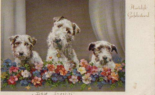 Vintage greeting postcard - vintage,