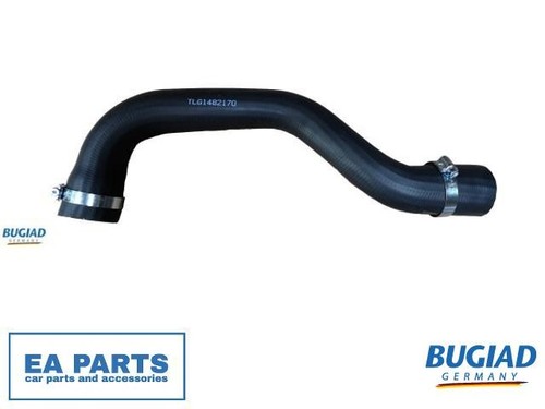 Charge air hose - charge,