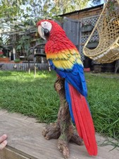 Vivid Arts - Red Macaw Perched