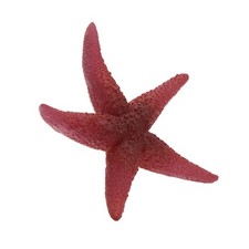 Luminously Silicones