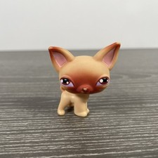 Littlest Pet Shop #001 Toy | Tan Chihuahua | First Pet | Official Hasbro