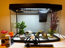 64 L used fish tank from pets at home, comes with five accessories and treatment