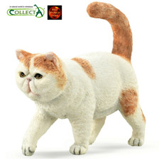 Exotic Shorthair Cat Toy Model Figure by CollectA 88937 Cake Topper Brand New