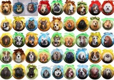 Dog Breed handcrafted