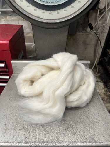 Fine cream baby - cream, alpaca