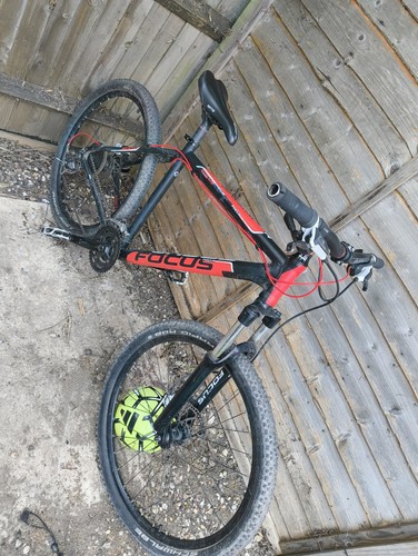Focus whistler mountain bike - focus,
