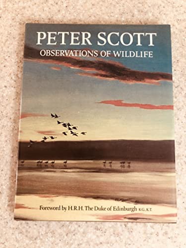 Observations wildlife peter - observations, of