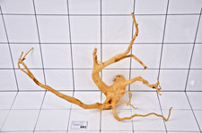 Premium Aquarium Natural Wood