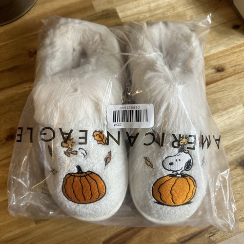 2024 american eagle peanuts - american,