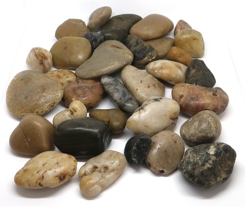 1kg large assorted browns - 1kg,
