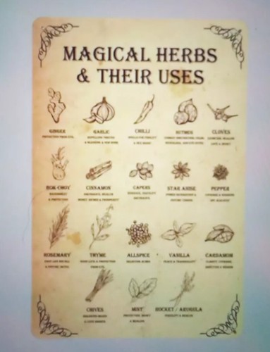 Retro magical herbs their - 'magical, &