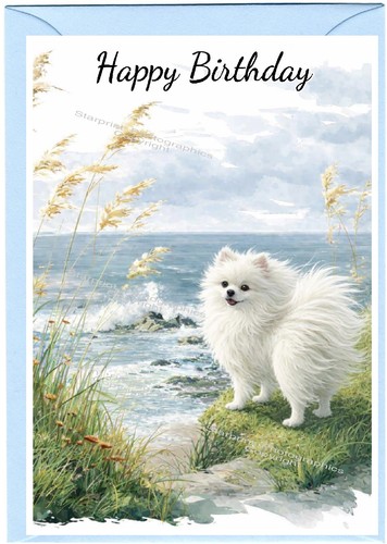 Pomeranian white dog - white,