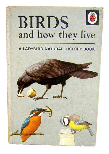 Ladybird natural history book - natural,