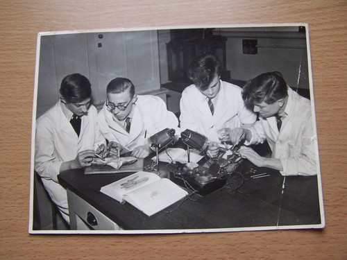 Students dissecting fish - dissecting,