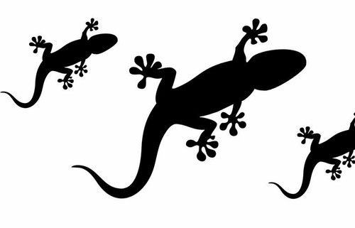 Wall decal wall sticker gecko