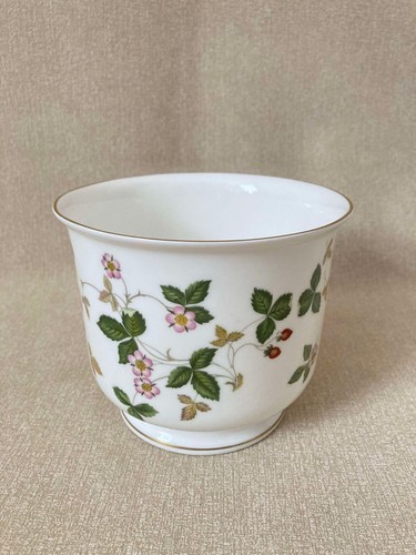 Rare wedgwood wild strawberry - rare,